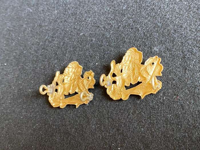 RHODESIA BSA ANODISED COLLAR BADGES-WORN 1970'S-1980-LUGS INTACT