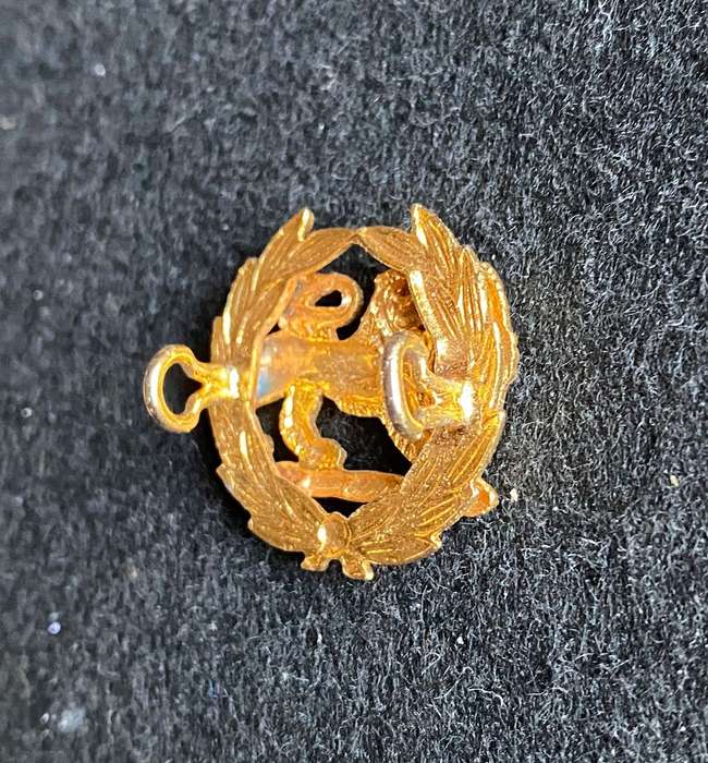 RHODESIA BSAP ANODISED RANK BADGE- 2 LUGS