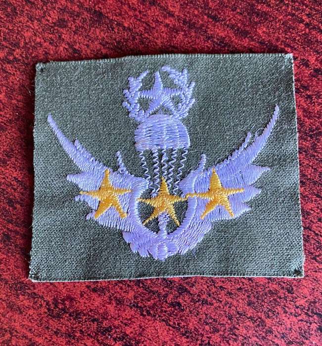 SOUTH KOREA PARA WINGS-FREE FALL- 300 JUMPS- FOR ARMY