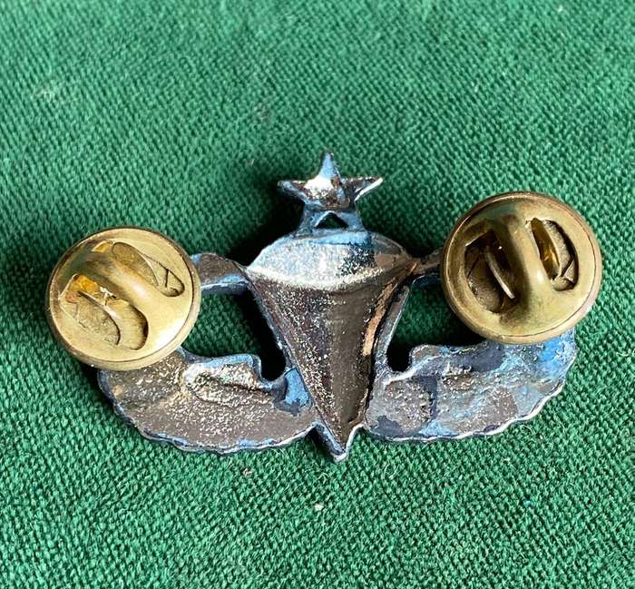 USA SENIOR PARA WING-BLACK- 2 PINS