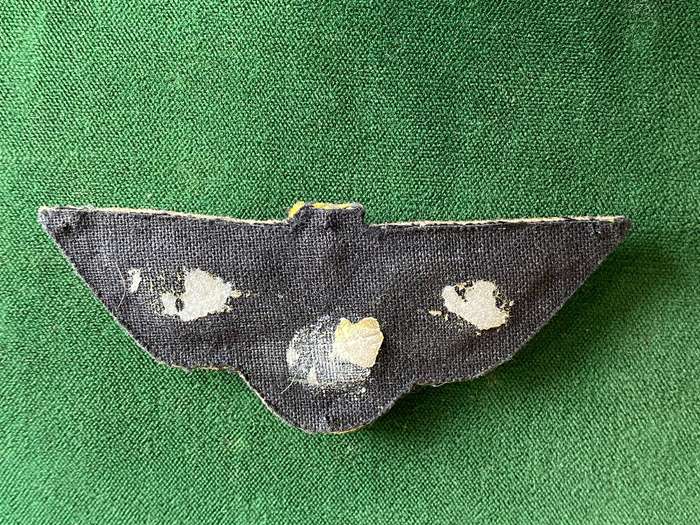 INDIAN ARMY PARACHUTE WING