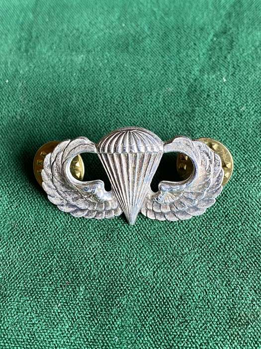 USA BASIC PARA BADGE- 2 PINS