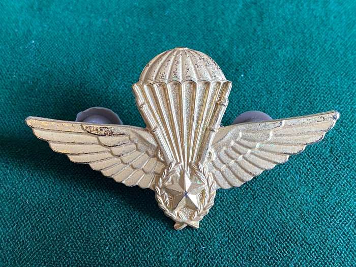 ALGERIAN INSTRUCTORS PARA BADGE- 2 PINS