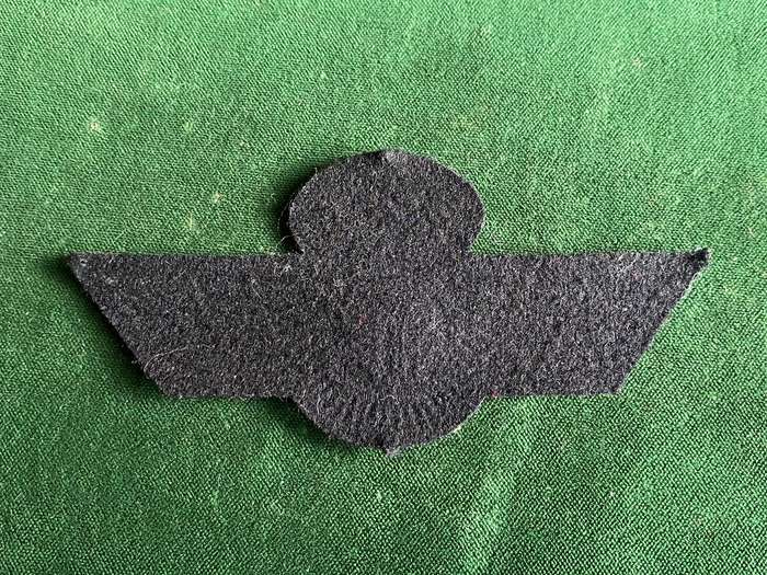 SPAIN PARA BADGE FOR INSTRUCTOR RIGGER-1977 RANGE