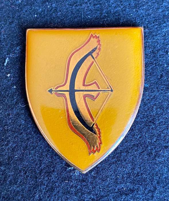 SWA 203 BATTALION POCKET FLASH- NO PINS