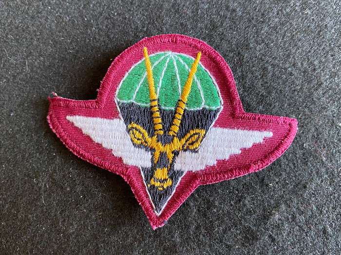 SWA PARA BATTALION BERET BADGE