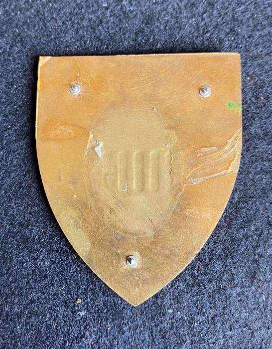 REGT. DAN PIENAAR FLASH- NO PINS