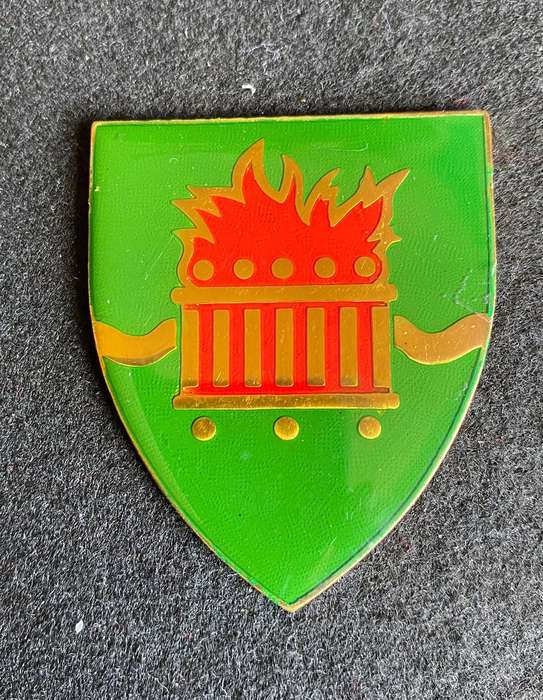 REGT. DAN PIENAAR FLASH- NO PINS