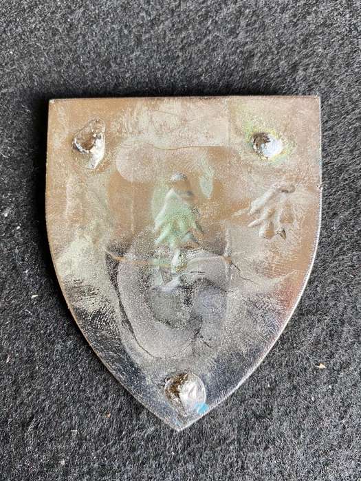 FAR NORTH SIGNAL UNIT FLASH- NO PINS