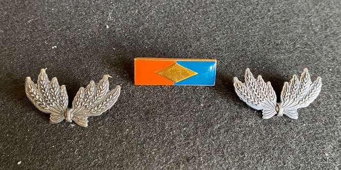 S.W.A.T.F SERVICES CORPS BERET BAR AND COLLARS-PINS INTACT