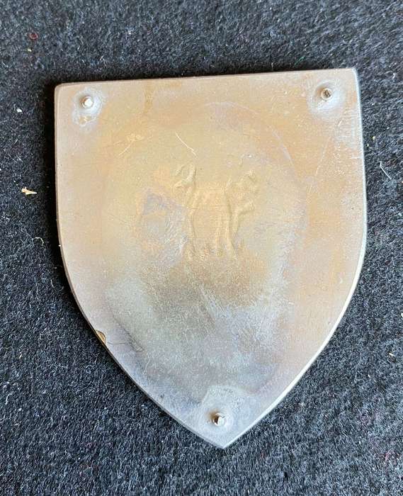 CAPE REGIMENT FLASH- NO PINS