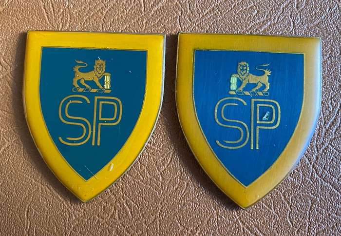 STATE PRESIDENTS GUARD -1ST ISSUE FLASH PAIR- NO PINS