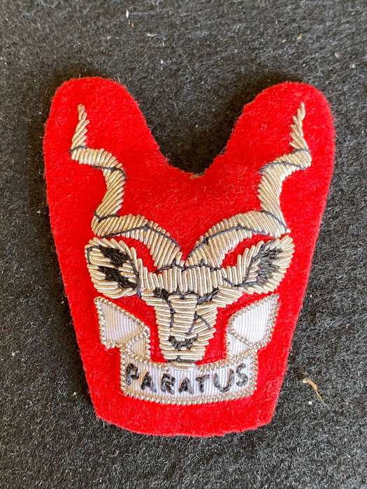 S.W.A.T.F. AREA FORCE GENERAL OFFICERS (BRIGADIERS AND GENERALS) CAP BADGE- PADDED
