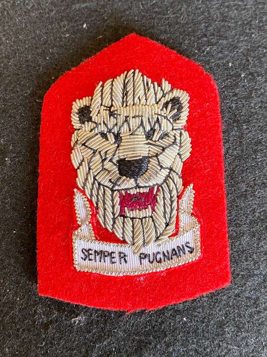 S.W.A.T.F REACTION FORCE SENIOR OFFICERS (COLONELS) CAP BADGE STAFF QUALIFIED