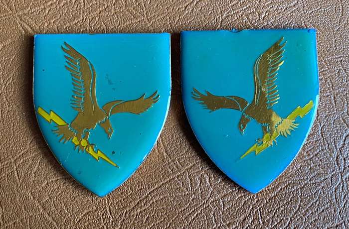 CISKEI FORCES ( POLICE & ARM) FLASH PAIR - NO PINS