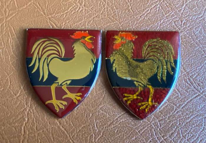 12 FIELD SQUADRON,FLASH PAIR- NO PINS