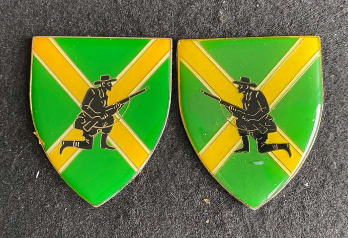 DANIE THERON COMBAT SCHOOL- LIGHT GREEN AND YELLOW PAIR OF FLASHES- NO PINS-OWEN F 859 AND F 860