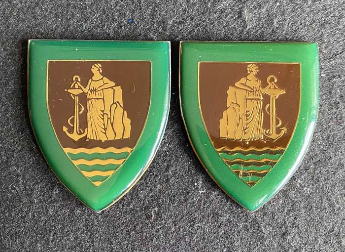 SA CAPE CORPS SERVICE BATTALION FLASH PAIR-DARK GREEN TYPE- NO PINS