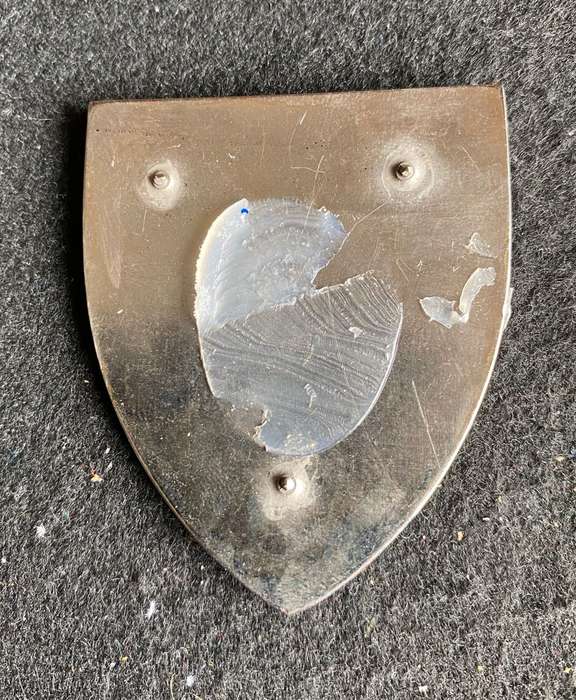 CHIEF OF STAFF PERSONEL SILVER CENTRE TYPE FLASH- NO PINS-OWEN NO F 479