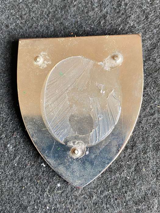 CHIEF OF STAFF FINANCE SILVER CENTRE THICK V TYPE- NO PINS-OWEN NO F 492