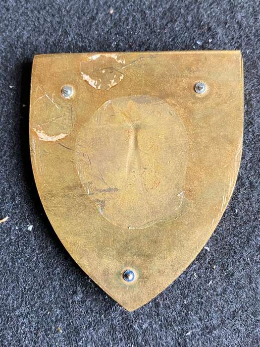 REGT. VAAL RIVER FLASH- NO PINS