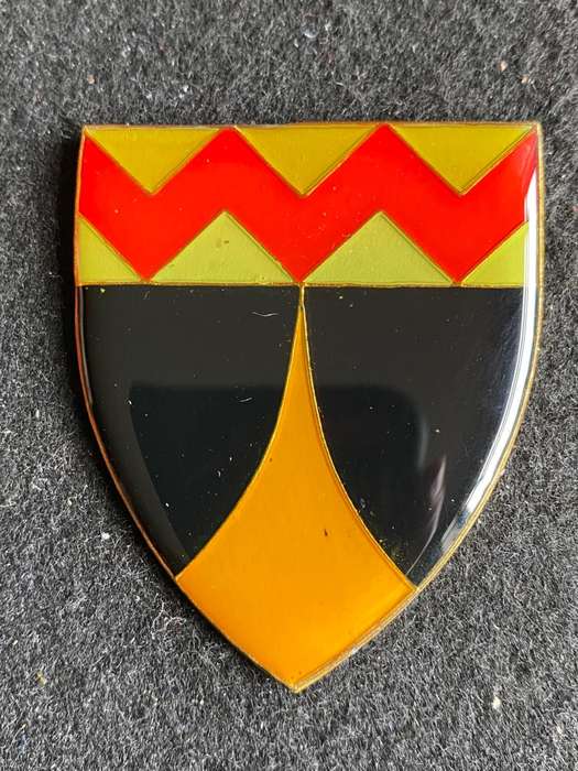 REGT. VAAL RIVER FLASH- NO PINS