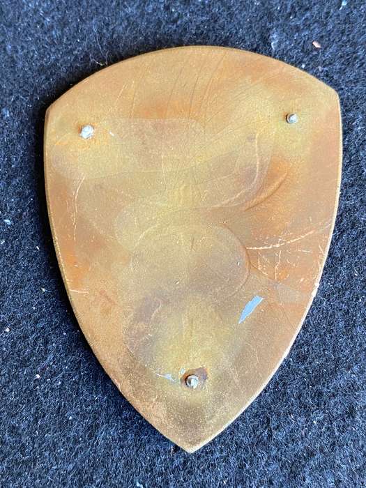 13 FIELD AMBULANCE FLASH- NO PINS
