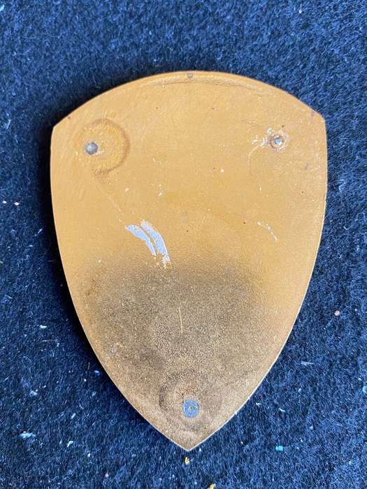 1 MILITARY HOSPITAL FLASH- NO PINS