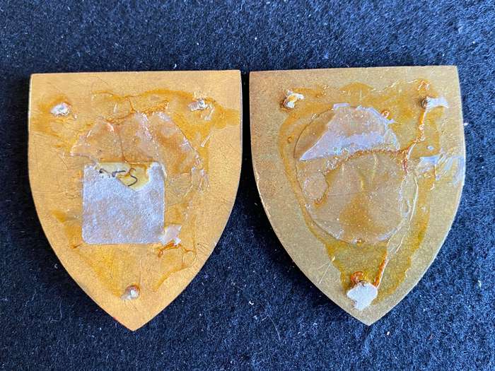 ORANGE FREE STATE COMMAND FLASH PAIR- GOLD TYPE- NO PINS