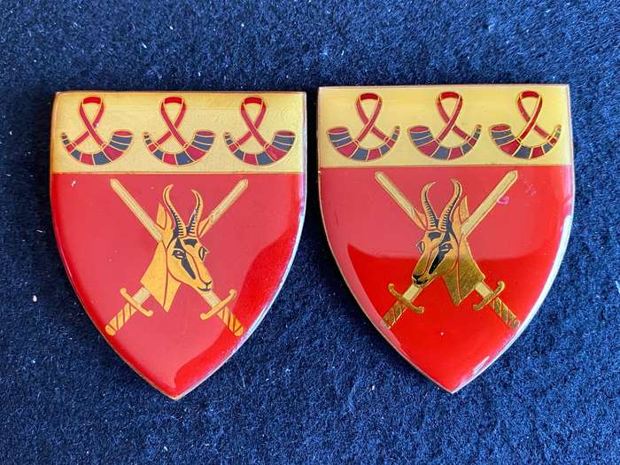 ORANGE FREE STATE COMMAND FLASH PAIR- GOLD TYPE- NO PINS