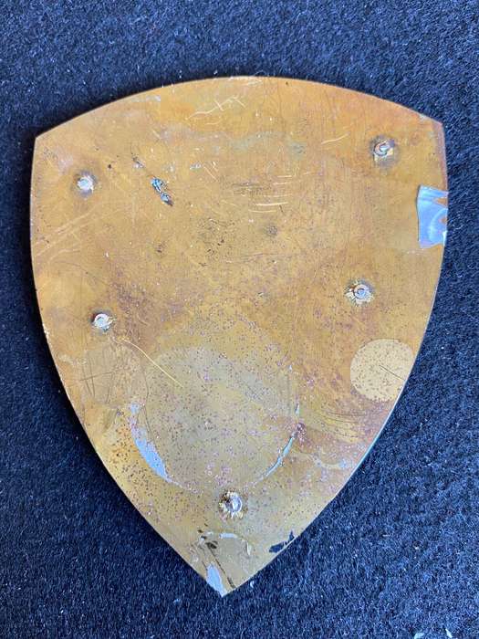 BOTSWANA COMBAT ENGINEERS LARGE FLASH- OWEN NO F1054- NO PINS