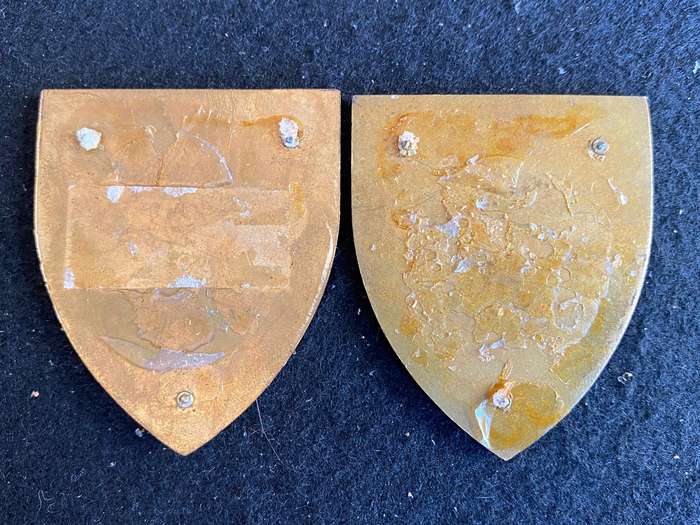 WITWATERSRAND COMMAND-GOLD TYPE FLASH PAIR- NO PINS