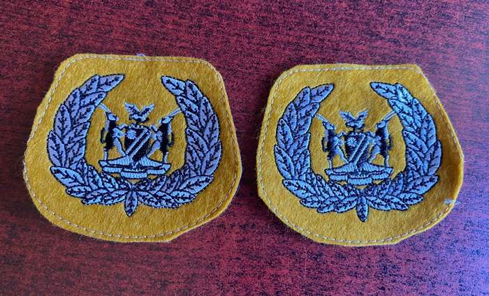 NAMIBIA DEFENCE FORCE WO 1 RANK BADGES