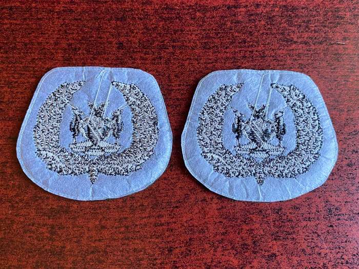 NAMIBIA DEFENCE FORCE WO 1 RANK BADGES