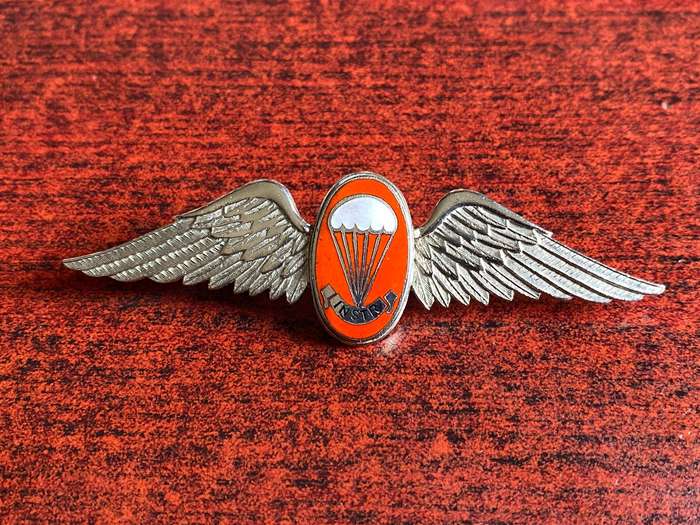 SADF PARA WING FREE FALL INSTRUCTOR-FULL SIZE - 2 PINS