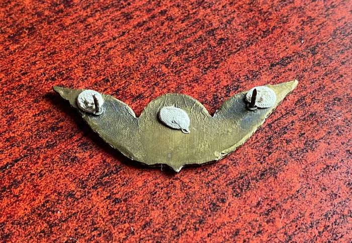 TRANSKEI PARACHUTE WINGS-GILT-OFFICERS- 2 LUGS