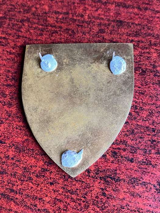 SADF 44 PARA BDE-LIGHT REGT. FLASH- 3 PINS