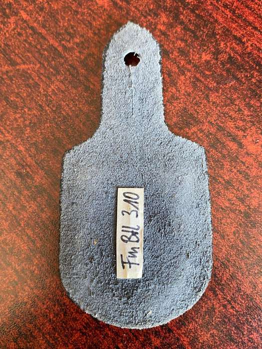 GERMAN BUNDESWEHR COMMS BN. 310 FOB BADGE