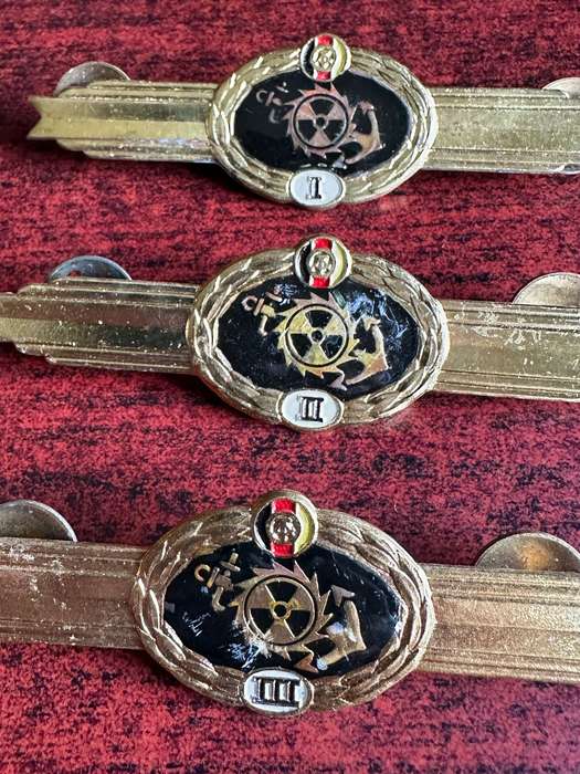 East German Classification Badge for Pioneer ABC Troops - 3 Classes - Worn 1958-1990