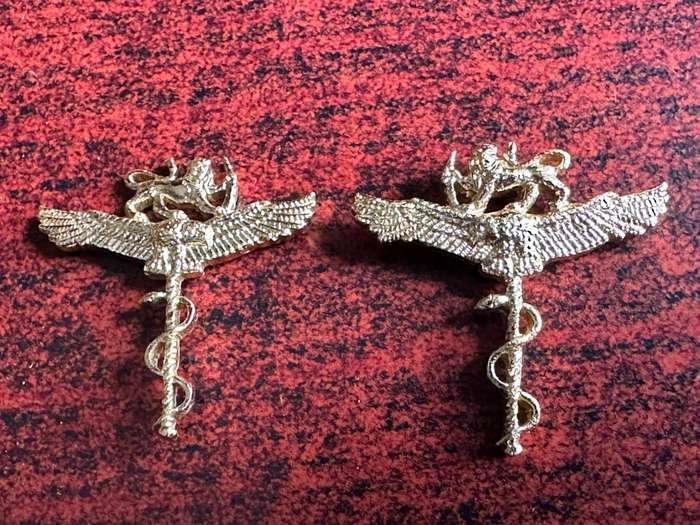 Rhodesia air force collar badge pair for doctors. scarce.
