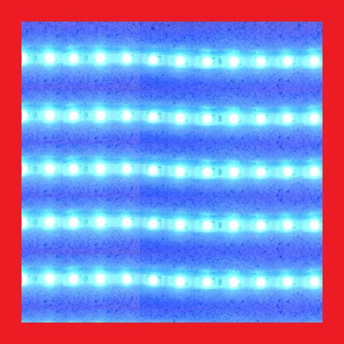 LED 5050 Strip Light Blue - 10 Metres