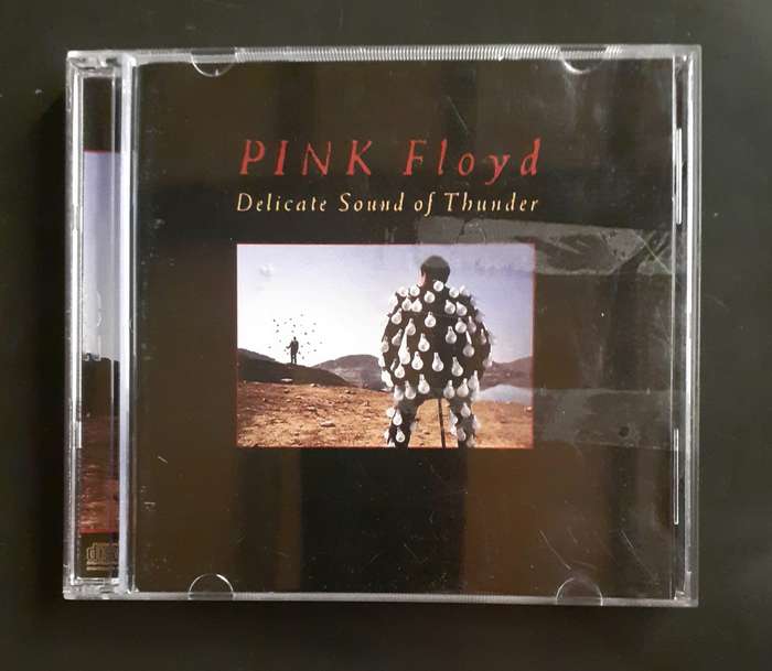 Pink Floyd - Delicate Sound Of Thunder (2 CD Set)