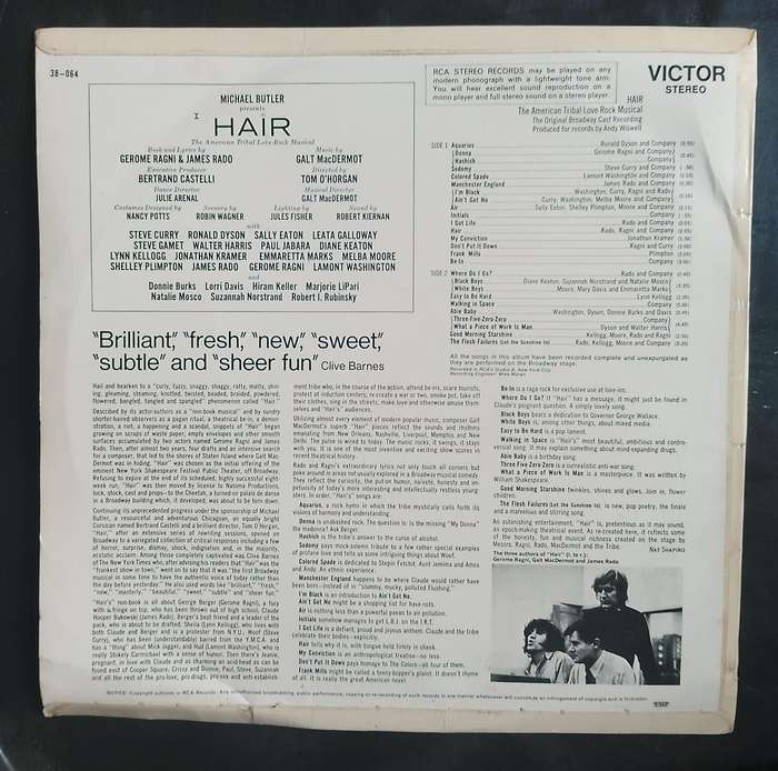 Hair - The American Tribal Love-Rock Musical (The Original Broadway Cast Recording) LP Vinyl Record