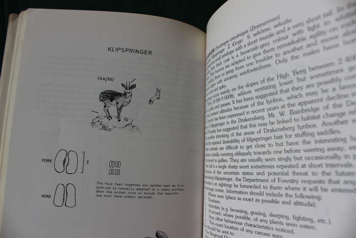 A FIELD GUIDE TO THE NATAL DRAKENSBERG. (A wildlife handbook) Pat Irwen.