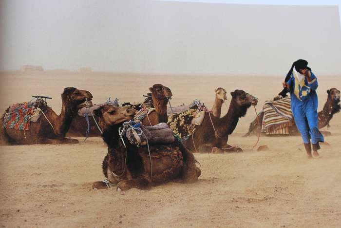 INSIDE SAHARA. Photographs by Basil Pao. Introduction by Michael Palin.
