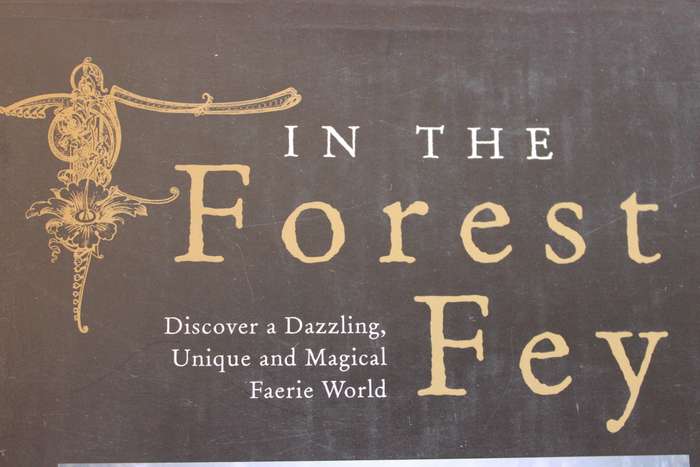 IN THE FOREST FEY  by Vanessa-Gaye & Kery-Gaye Schiff