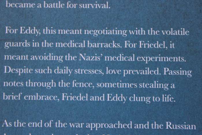 LAST STOP AUSCHWITZ  My story of survival from within the camp  by Eddy de Wind