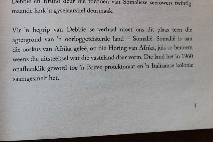 20 MAANDE IN GYSELAARSHEL deur Debbie Britz met Ulrike Hill