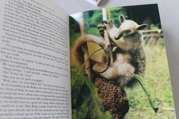 THE ZOO QUEST EXPEDITIONS  by David Attenborough