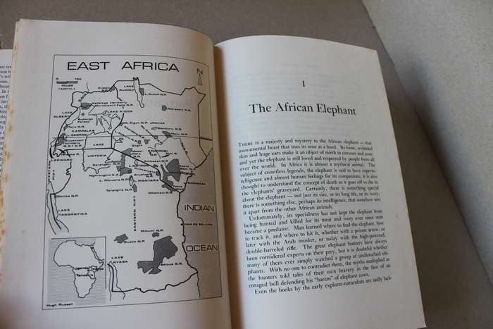 PORTRAITS IN THE WILD  Animal Behaviour in Eaast Africa  by Cynthia Moss
